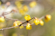 image0178