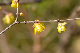 image0181