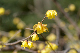 image0183
