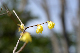 image0185
