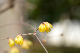 image0186