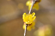 image0187