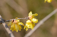 image0188