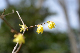 image0189