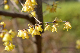 image0190
