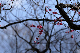 image0191