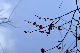 image0193