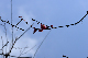 image0194