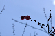 image0197