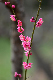 image0207