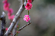 image0210