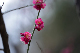 image0211
