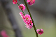 image0213