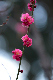 image0214