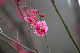 image0216