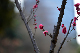 image0217
