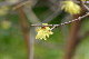 image0222
