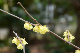 image0223