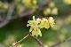 image0224