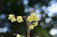 image0225