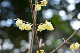 image0226