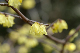 image0228