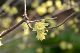 image0229