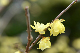 image0230