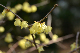 image0231