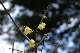image0233