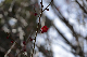 image0234