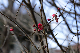 image0235