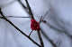 image0236
