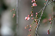 image0238
