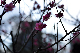 image0240