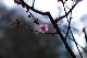 image0241
