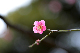 image0242