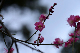 image0243