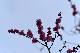 image0245