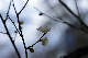 image0247