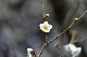 image0251