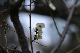 image0253