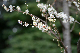 image0254