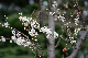 image0256