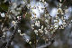 image0257