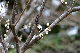 image0258