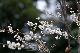 image0259