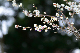 image0260