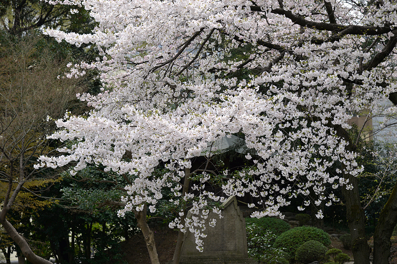 image0136