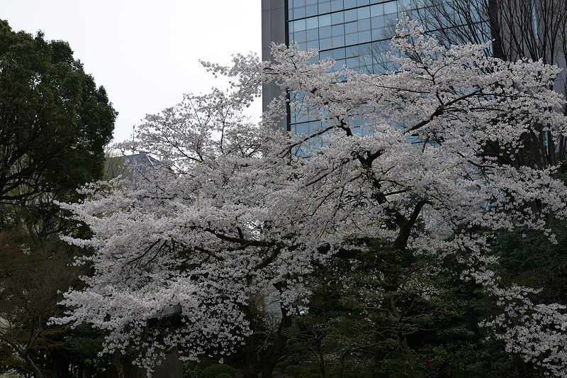 image0137
